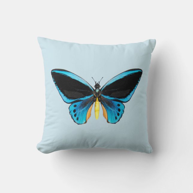 Cojín Decorativo Mariposa Ala de Pájaro (Anverso)