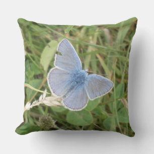 Cojín Decorativo Mariposa Azul Común en Almohadón de Césped
