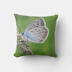 Cojín Decorativo Mariposa Azul Común en Hierba