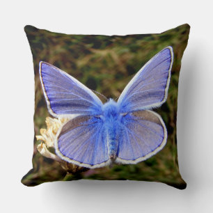 Cojín Decorativo Mariposa azul enana