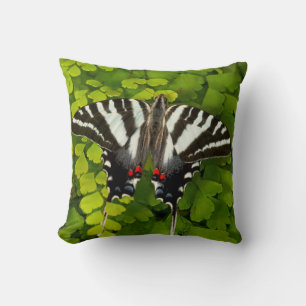 Cojín Decorativo Mariposa cola de golondrina americana