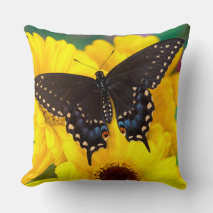 Cojín Decorativo Mariposa cola de golondrina negra