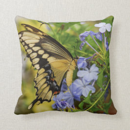 Cojín decorativo mariposa de cola tragada