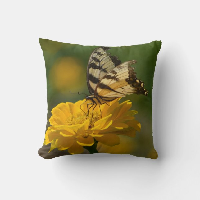 Cojín Decorativo Mariposa en Zinnia Pillow (Anverso)