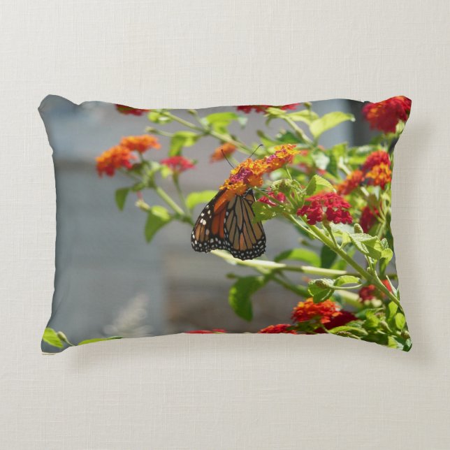 Cojín Decorativo Mariposa monarca en mariposa roja Bush (Anverso)