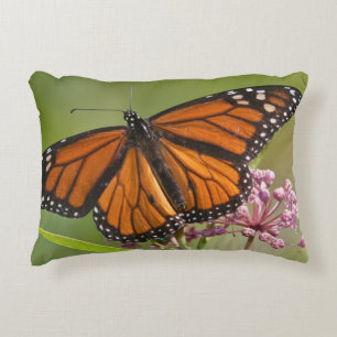 Cojín Decorativo Mariposa Monarca macho en Algodoncillo de Pantano