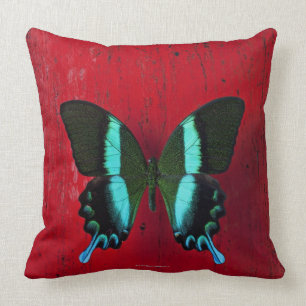 Cojín Decorativo Mariposa negra y azul en la pared roja