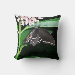 Cojín Decorativo Mariposa Nocturna Cola de Golondrina Negra en Shen
