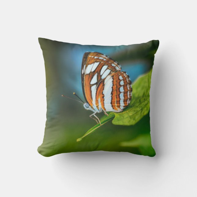 Cojín Decorativo Mariposa rayada blanca y Naranja (Anverso)