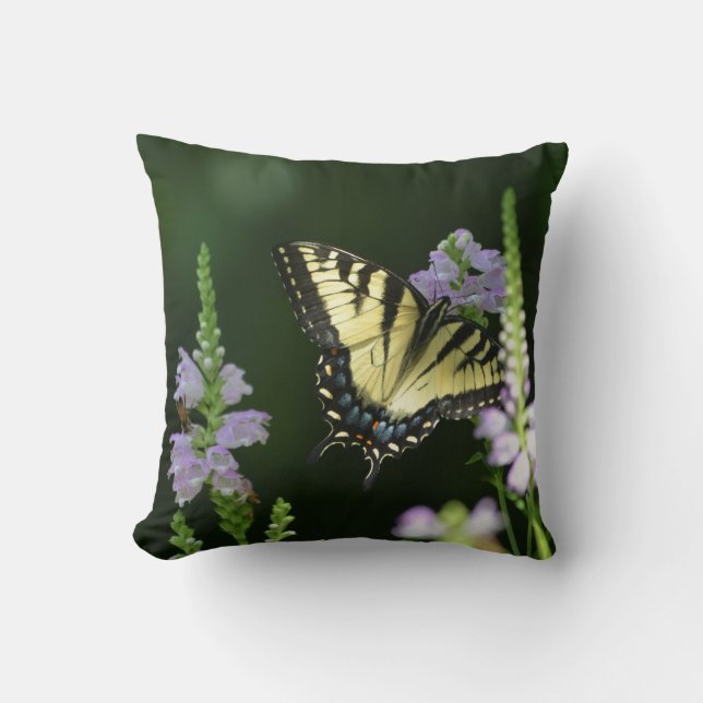 Cojín Decorativo Mariposa silvestre (Anverso)