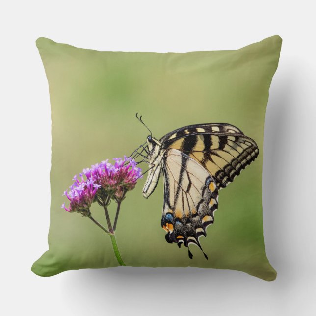 Cojín Decorativo Mariposa Swallowtail del Tigre del Este (Anverso)