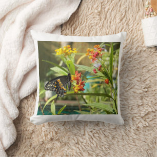 Cojín Decorativo Mariposa Tragada Negra #2