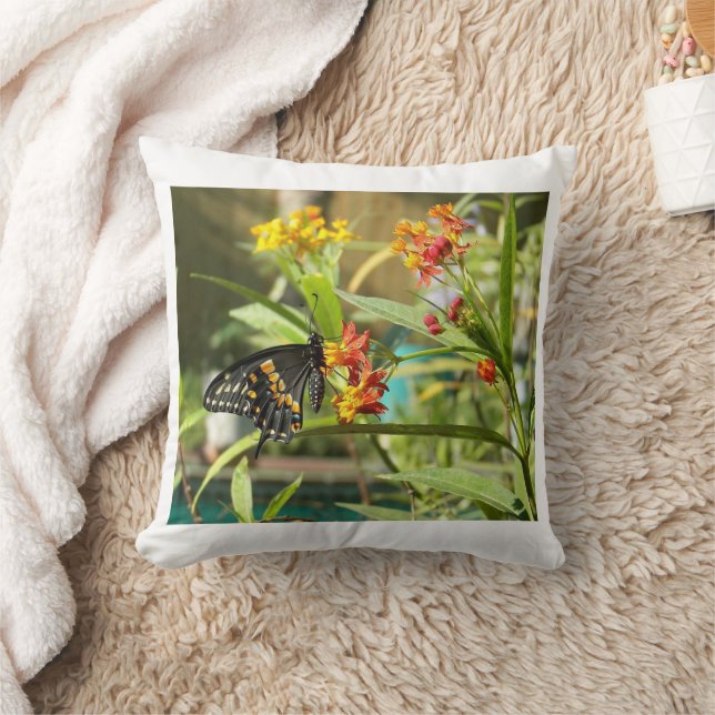 Cojín Decorativo Mariposa Tragada Negra #2 (Manta)