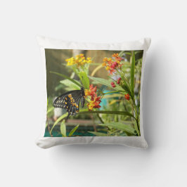 Cojín Decorativo Mariposa Tragada Negra #2