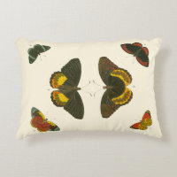 Mariposas brillantes por Pieter Cramer