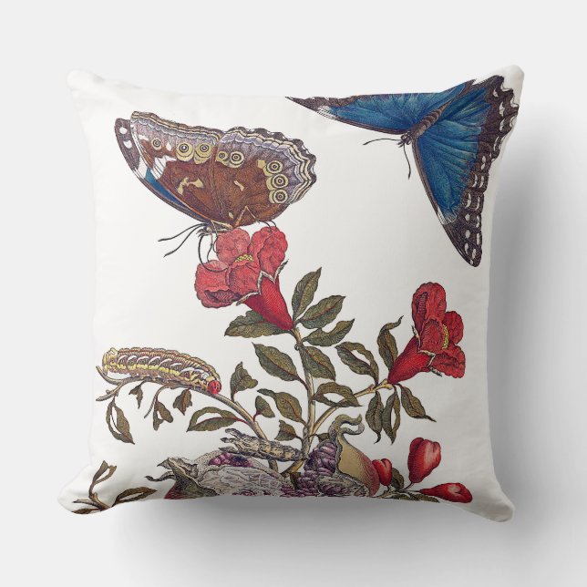 Cojín Decorativo Mariposas Cushions de Maria Merian (Anverso)
