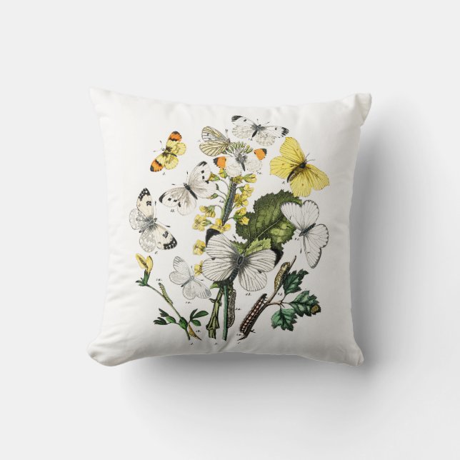 Cojín Decorativo Mariposas europeas antiguas (Anverso)