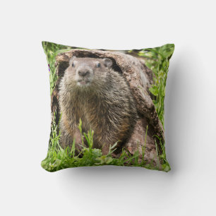 Cojín Decorativo Marmota en un tronco hueco