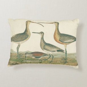 Cojín Decorativo Marsh Bird Curlew Snipe Birding