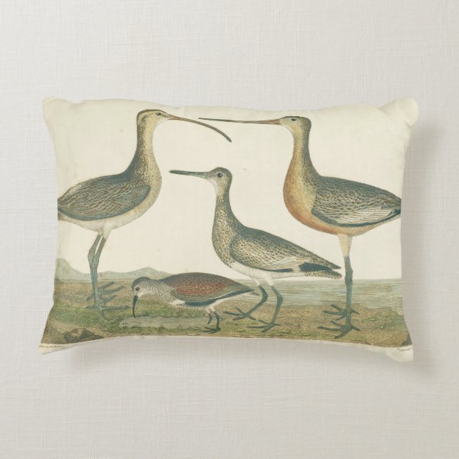Cojín Decorativo Marsh Bird Curlew Snipe Birding (Reverso)