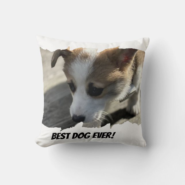 Cojín Decorativo Mascota de fotografía de perro Pillow (Anverso)