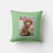 Mascota Foto Personalizada Pillow Perro Perro