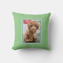 Cojín Decorativo Mascota Foto Personalizada Pillow Perro Perro