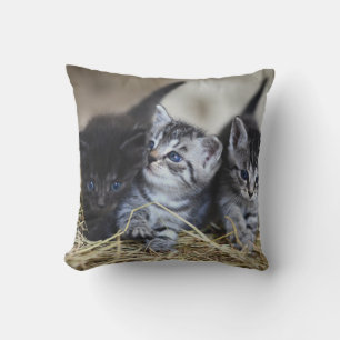 Cojín Decorativo Mascota personalizado
