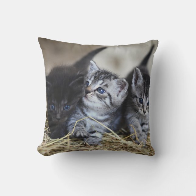 Cojín Decorativo Mascota personalizado (Anverso)