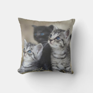 Cojín Decorativo Mascota personalizado