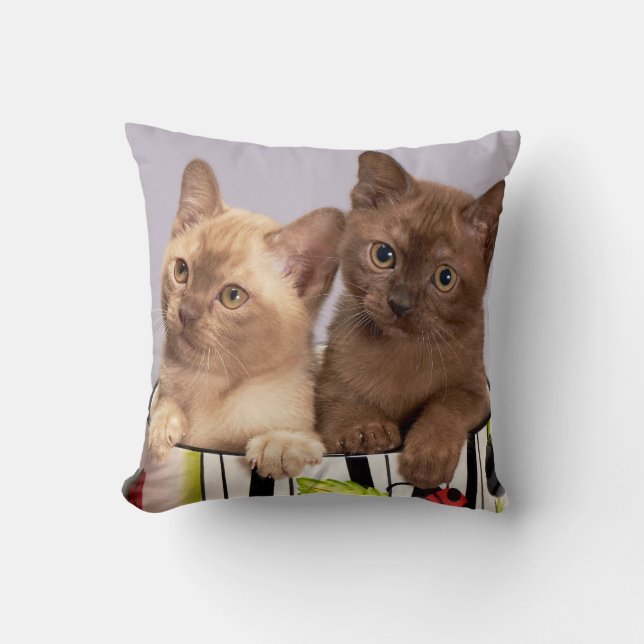Cojín Decorativo Mascota personalizado (Anverso)