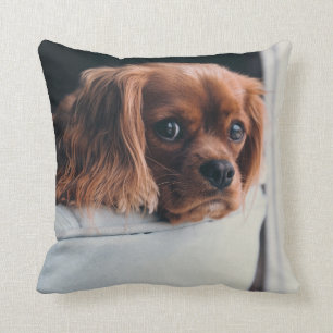Cojín Decorativo Mascota personalizado