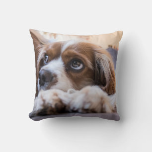 Cojín decorativo Mascota personalizado