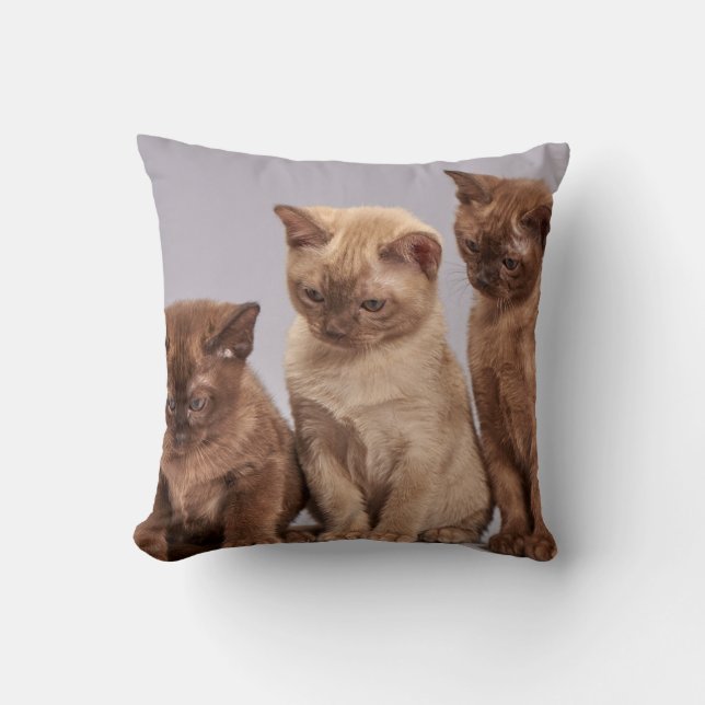Cojín Decorativo Mascota personalizado (Anverso)