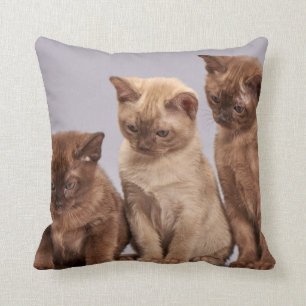 Cojín Decorativo Mascota personalizado