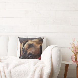 Cojín Decorativo Mascota personalizado