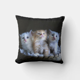 Cojín Decorativo Mascota personalizado