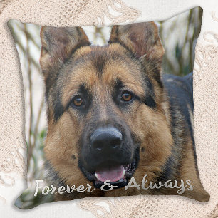 Cojín Decorativo Mascota Personalizado Perdida Mascota de fotografí