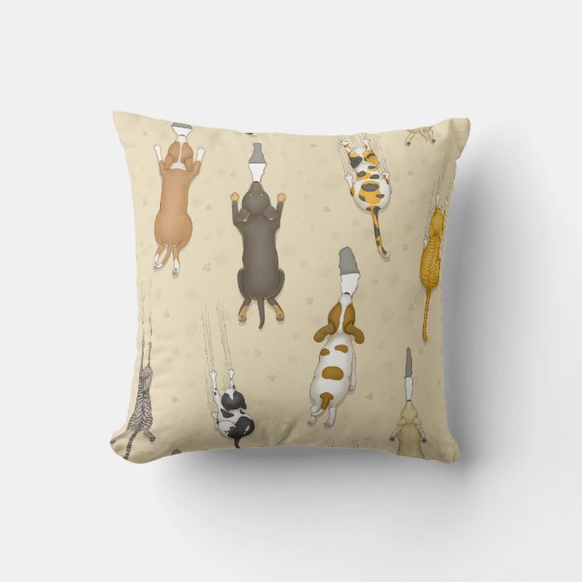 Cojín Decorativo Mascotas permitidos (Anverso)