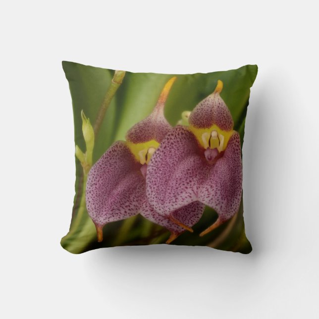 Cojín Decorativo Masdevallia (Anverso)