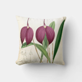 Cojín Decorativo Masdevallia Harryana