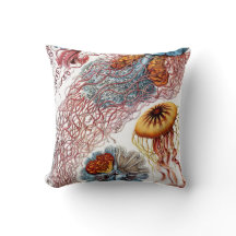 Medusas Vintage de Ernst Haeckel, Discomedusae