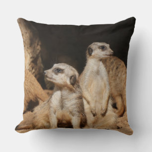 Cojín Decorativo Meerkat 003