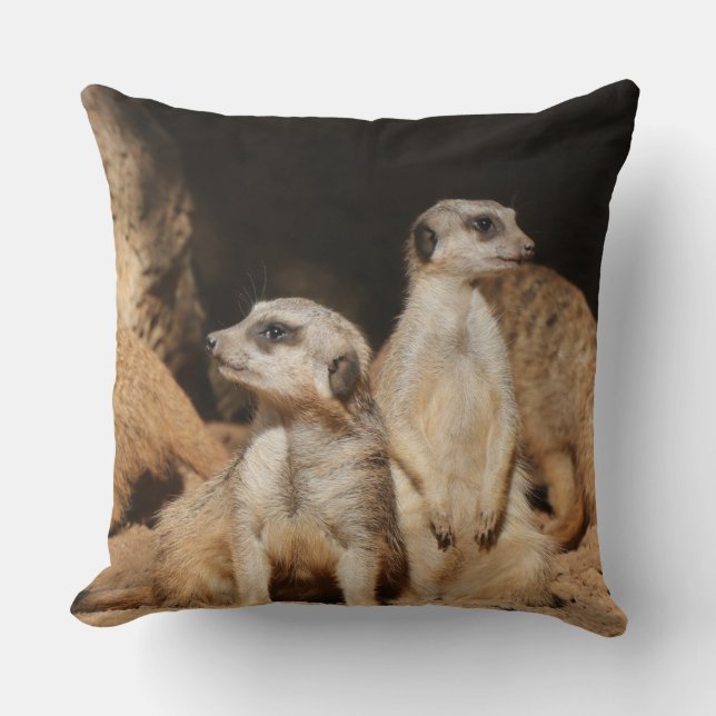 Cojín Decorativo Meerkat 003 (Anverso)