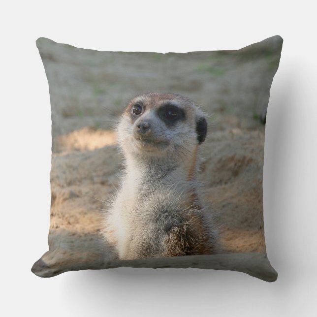 Cojín Decorativo Meerkat 004 (Anverso)