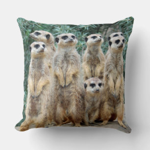 Cojín Decorativo Meerkat 006