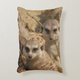 Cojín Decorativo Meerkat_008