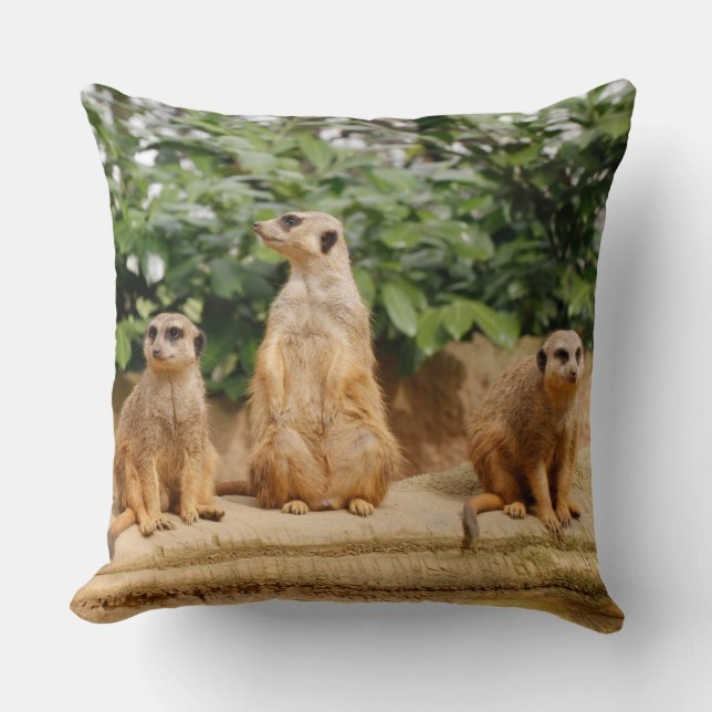 Cojín Decorativo Meerkat 008 (Anverso)