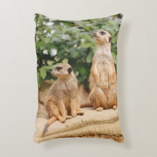 Cojín Decorativo Meerkat 009