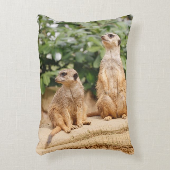 Cojín Decorativo Meerkat 009 (Frente (Vertical))